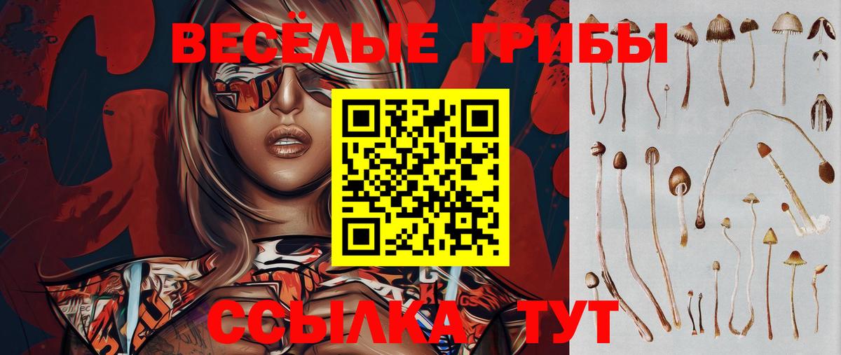 Псилоцибиновые грибы Psilocybe Тверь
