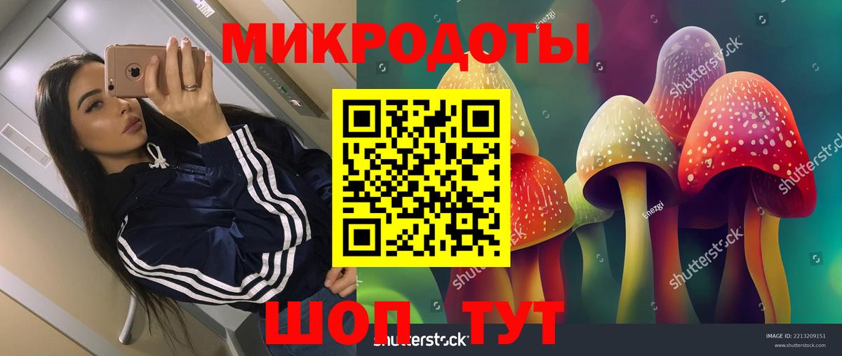 Галлюциногенные грибы GOLDEN TEACHER  Вход с VPN  Тверь 